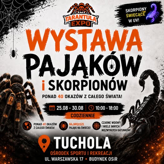 WYSTAWA PAJĄKÓW I SKORPIONÓW